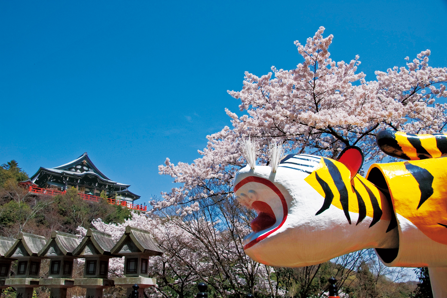 和菓子屋向けデモ